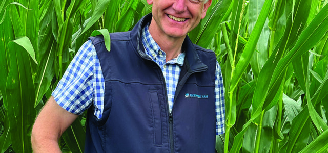 Cover crops can ease winter forage squeeze