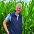 Cover crops can ease winter forage squeeze